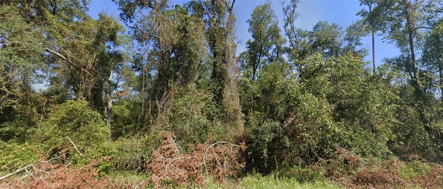 Discover the space and freedom you’ve been craving on this beautiful 4-acre homesite in Lake City, North Florida. Tucked just minutes from the I-75 and I-10 interchange, you get the rare combination of peaceful country living with quick access to anywhere you need to go.This property sits outside the flood zone, giving you added peace of mind when planning your dream home, barndominium, or private getaway. Mature trees, open sky, and natural surroundings create a setting that feels quiet and grounded, the kind of “Old Florida” atmosphere so many buyers are searching for as they step away from the congestion of Central Florida.Outdoor recreation is part of everyday life here. Spend weekends kayaking or fishing along the Suwannee River, tubing the crystal-clear waters at nearby Ichetucknee Springs, hiking in Osceola National Forest, or exploring local parks and trails around Alligator Lake. Small-town charm, fresh air, and star-filled night skies replace traffic and noise.Lake City offers grocery stores, dining, medical care, and shopping close by, while still keeping that laid-back North Florida pace. Whether you want a full-time residence, a homestead, or a weekend escape, this property gives you room to build, room to breathe, and room to live the lifestyle people are moving north to find.If you’ve been looking for land that balances accessibility and privacy, this is the opportunity to make it yours.