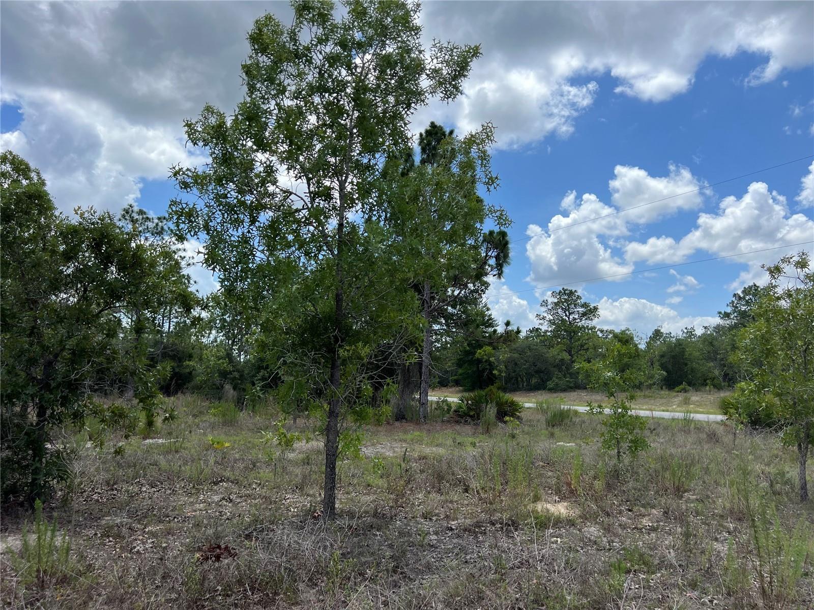 CITRUS SPGS UNIT 22 - Land