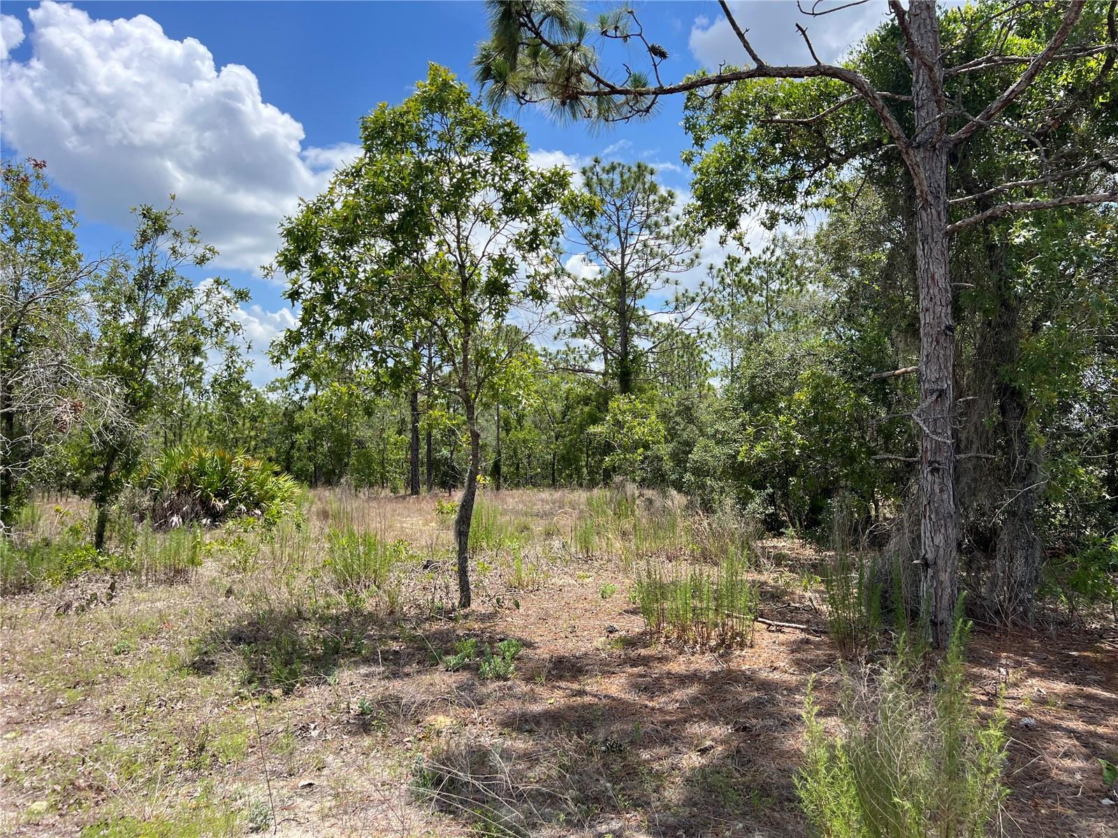 CITRUS SPGS UNIT 22 - Land