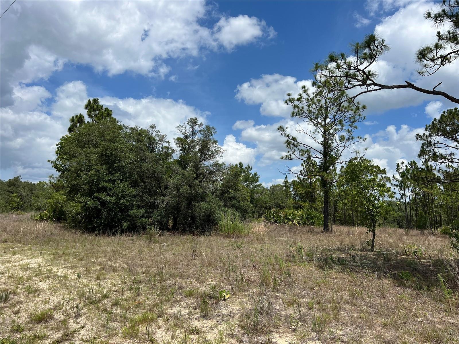 CITRUS SPGS UNIT 22 - Land