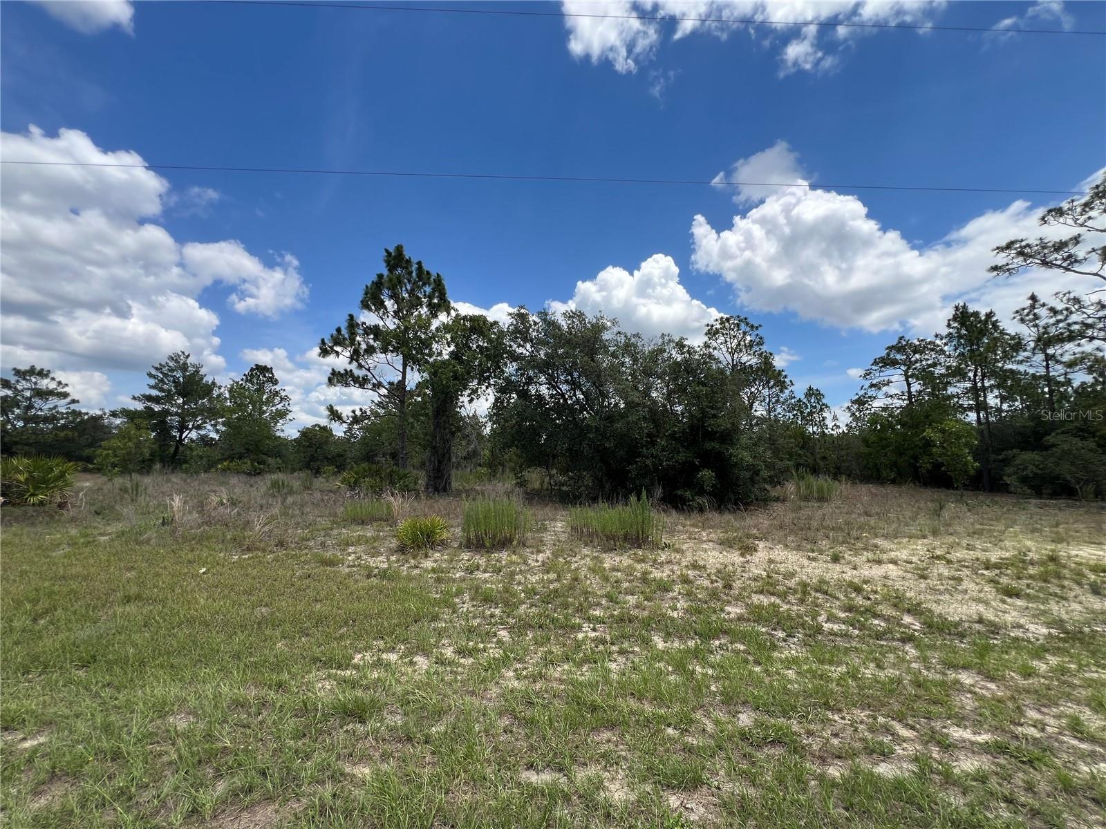 CITRUS SPGS UNIT 22 - Land