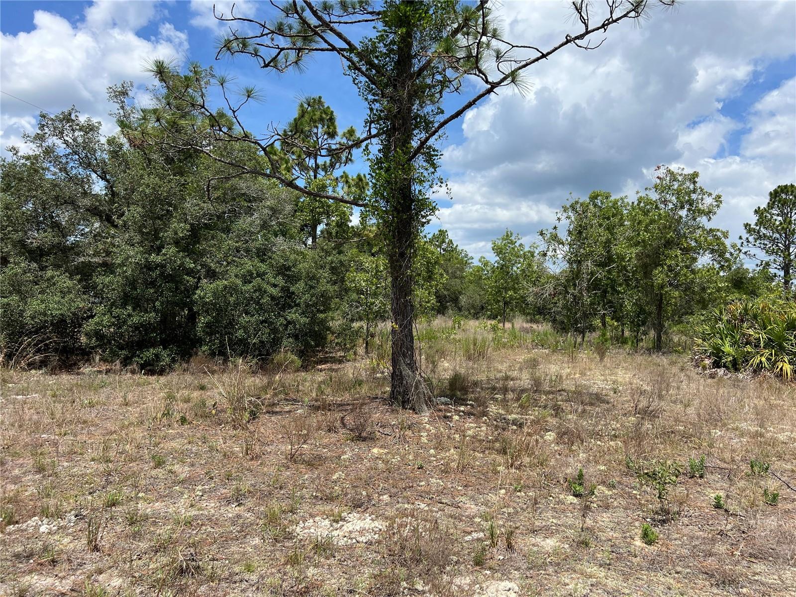 CITRUS SPGS UNIT 22 - Land