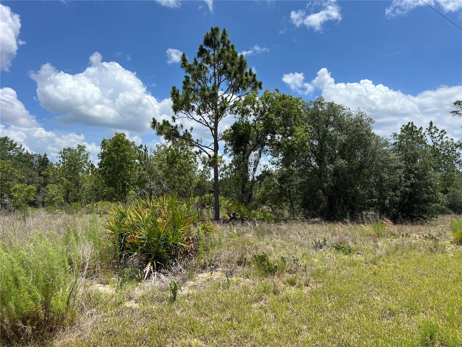 CITRUS SPGS UNIT 22 - Land