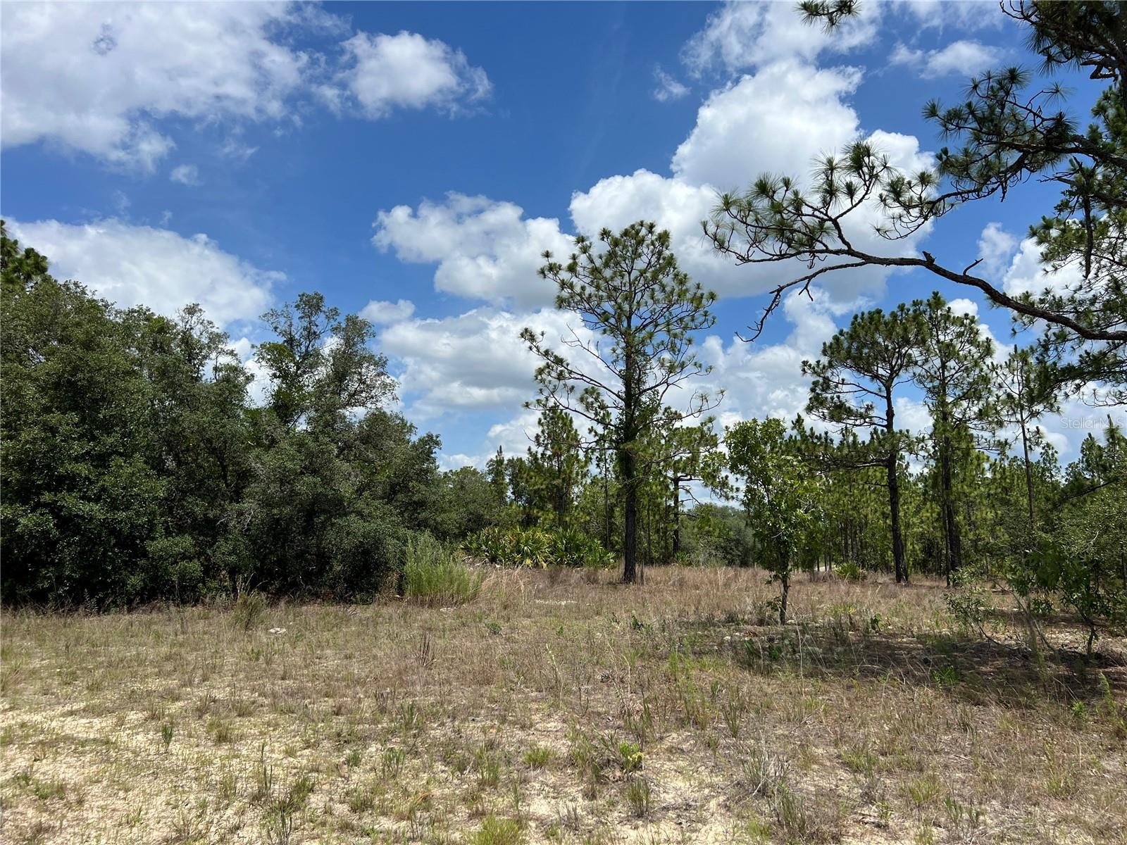 CITRUS SPGS UNIT 22 - Land