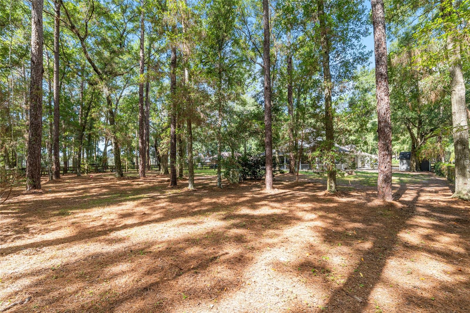 FOUNTAIN OAK - Residential