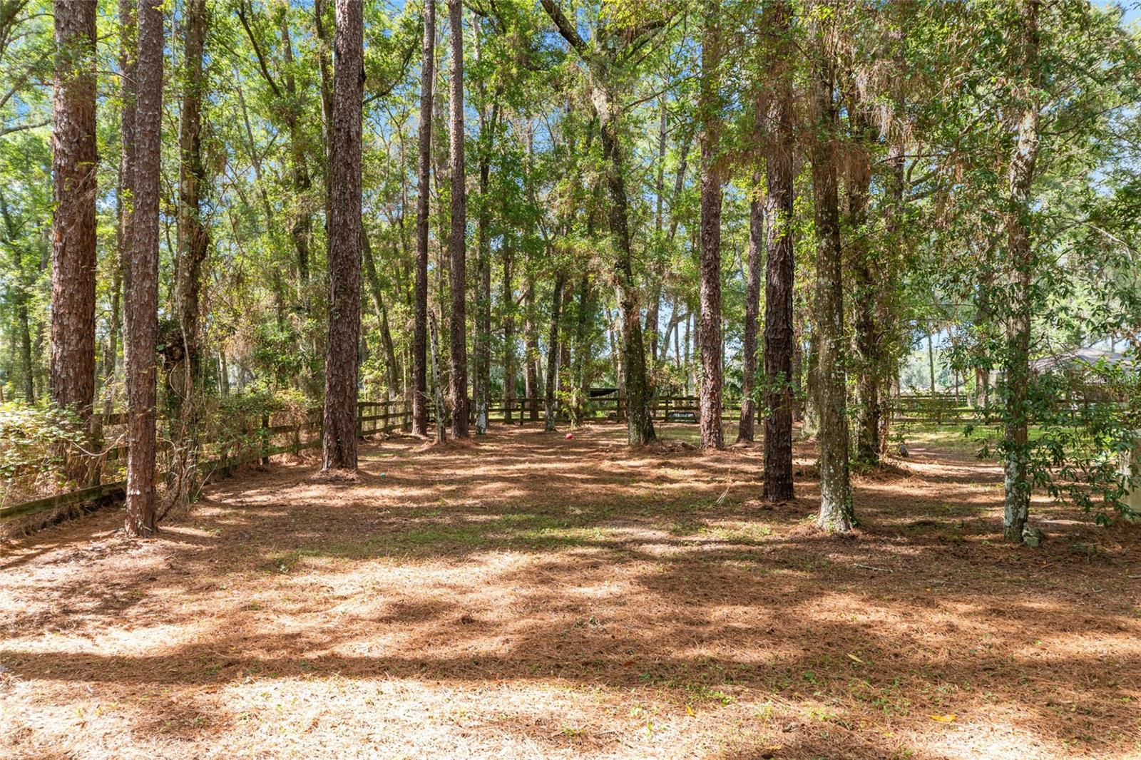 FOUNTAIN OAK - Residential