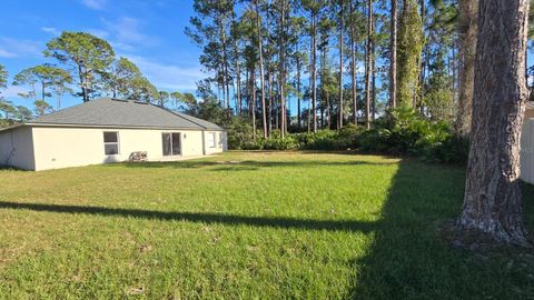 A home in PALM COAST