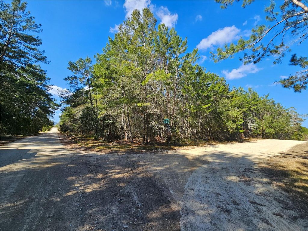 Photo of Tbd SE 8th Street, Williston, FL 32696 (MLS # OM715541)