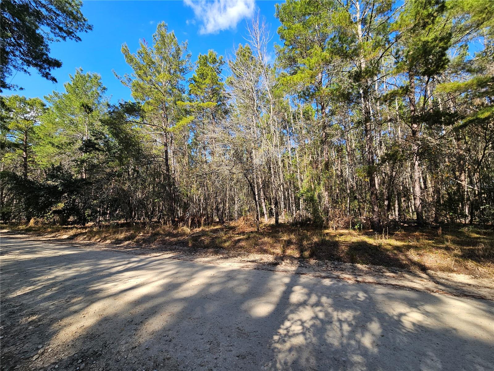 WILLISTON HIGHLANDS UNIT 7 - Land