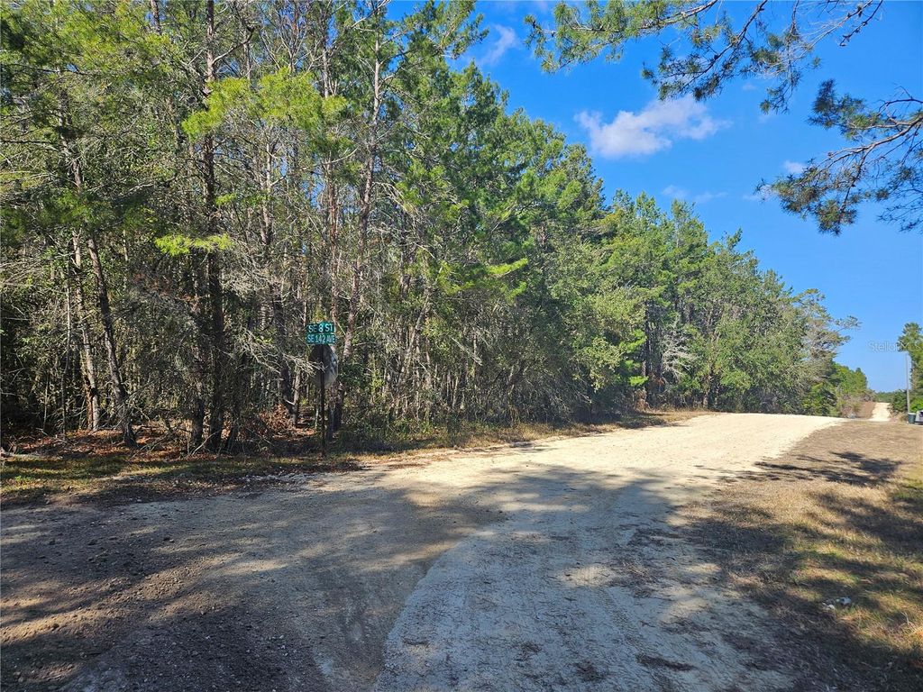 Photo of Tbd SE 8th Street, Williston, FL 32696 (MLS # OM715541)