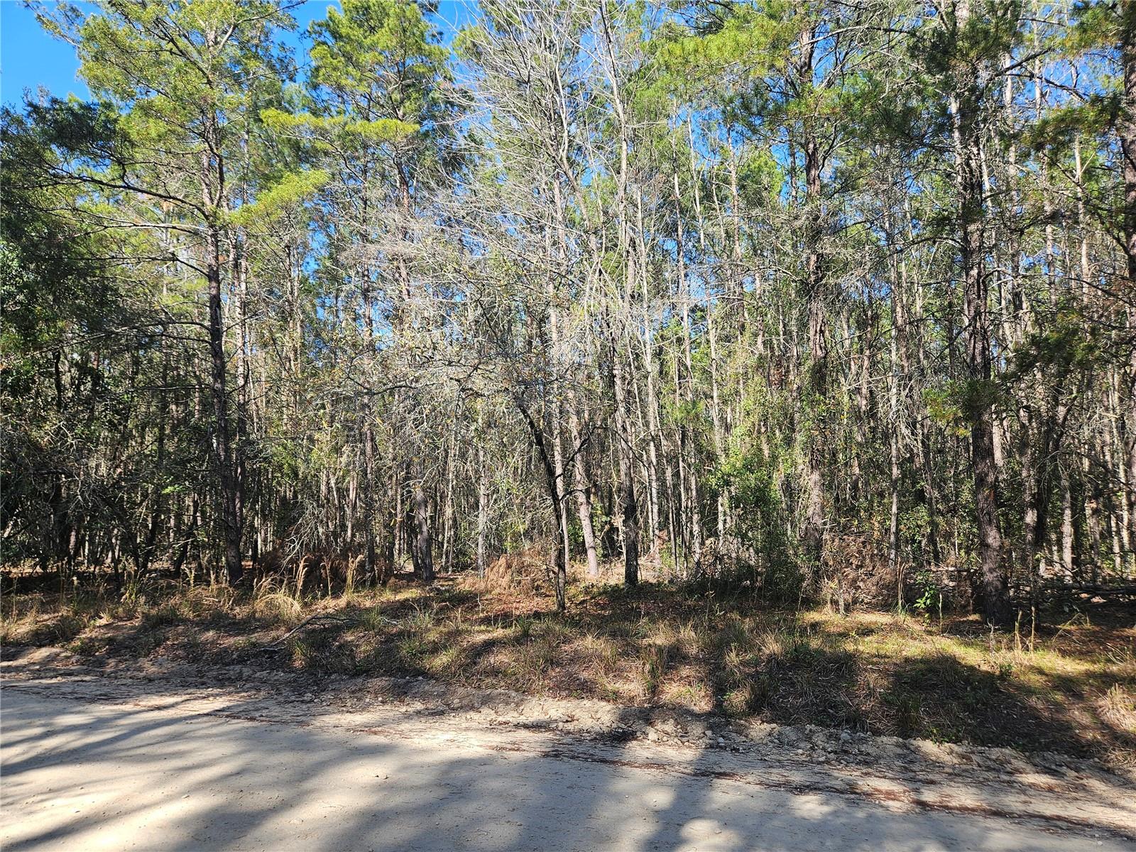 WILLISTON HIGHLANDS UNIT 7 - Land