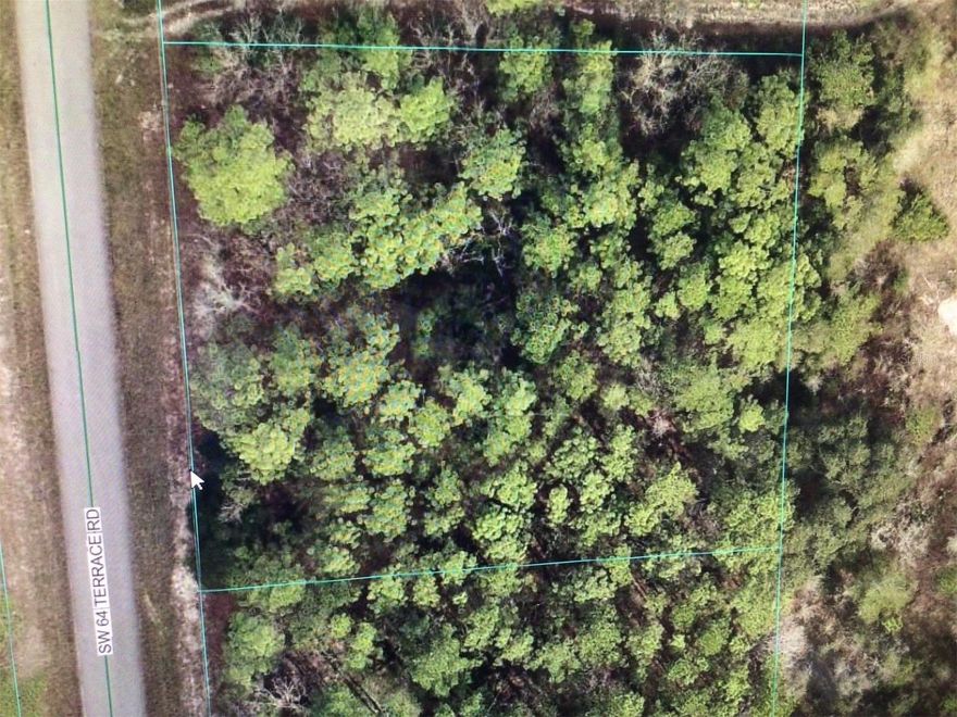 Nice big lot ready for duplex or more. Adjoining lot also available. Could make a nice complex, close proximity to Hwy. 484