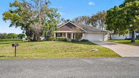 Photo of 5427 SW 87th Place, Ocala, FL 34476 (MLS # O6395374)
