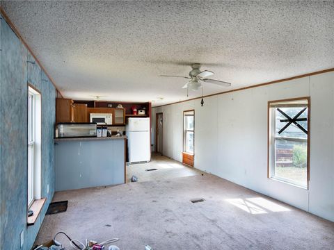 Tiny photo for 4982 W Woodlawn Street, Dunnellon, FL 34433 (MLS # OM709746)