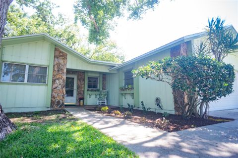 55 SQUIRE COURT DUNEDIN FL 34698
