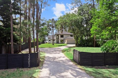 13562 S LAKE MARY JANE ROAD ORLANDO FL 32832