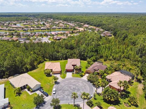 Photo of 806 Ebb Tide Lane, Kissimmee, FL 34759 (MLS # S5139382)