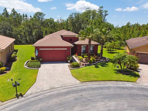 Photo of 806 Ebb Tide Lane, Kissimmee, FL 34759 (MLS # S5139382)