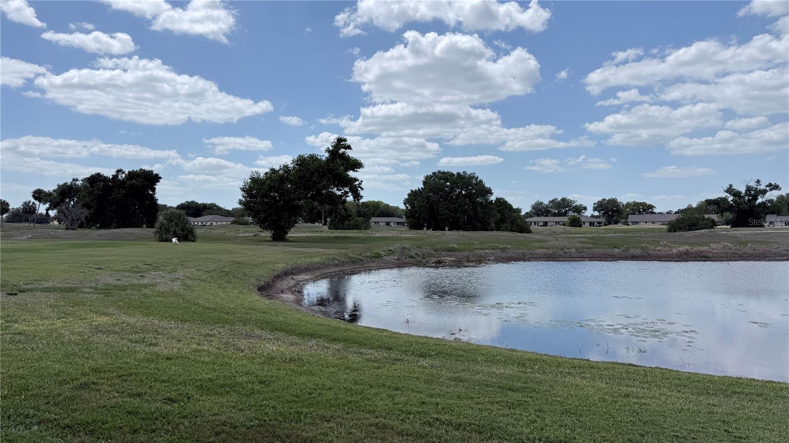 MANCHESTER 1 CONDO PH - Residential