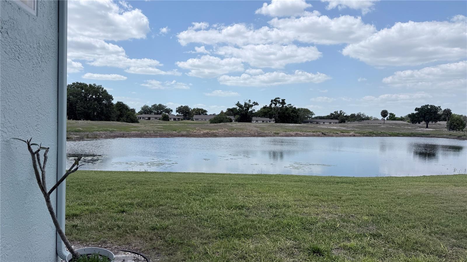 MANCHESTER 1 CONDO PH - Residential