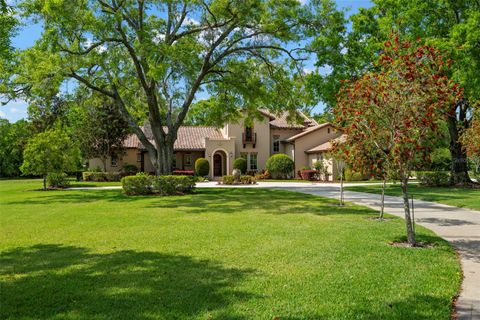 Photo of 7775 Still Lakes Drive, Odessa, FL 33556 (MLS # TB8366589)