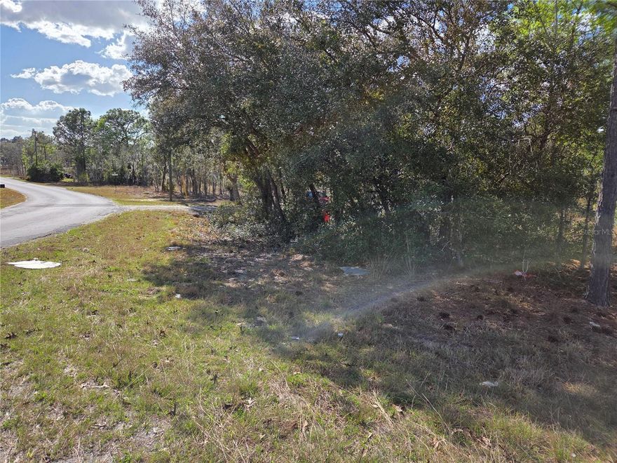 BEAUTIFUL CORNER LOT ON 2  PAVED ROADS - .24 ACRES with pines and oaks, perfect location to build your new home. Just 5 minutes to Williston, 30 minutes to Gainesville, Ocala, Bronson and the Gulf. Close to Cedar Key for fishing, boating, restaurants etc. Also near the Goethe State Forest for riding horses, hiking trails, picnicking, bird watching and seeing the Old Florida. No flood zone and no HOA fees.