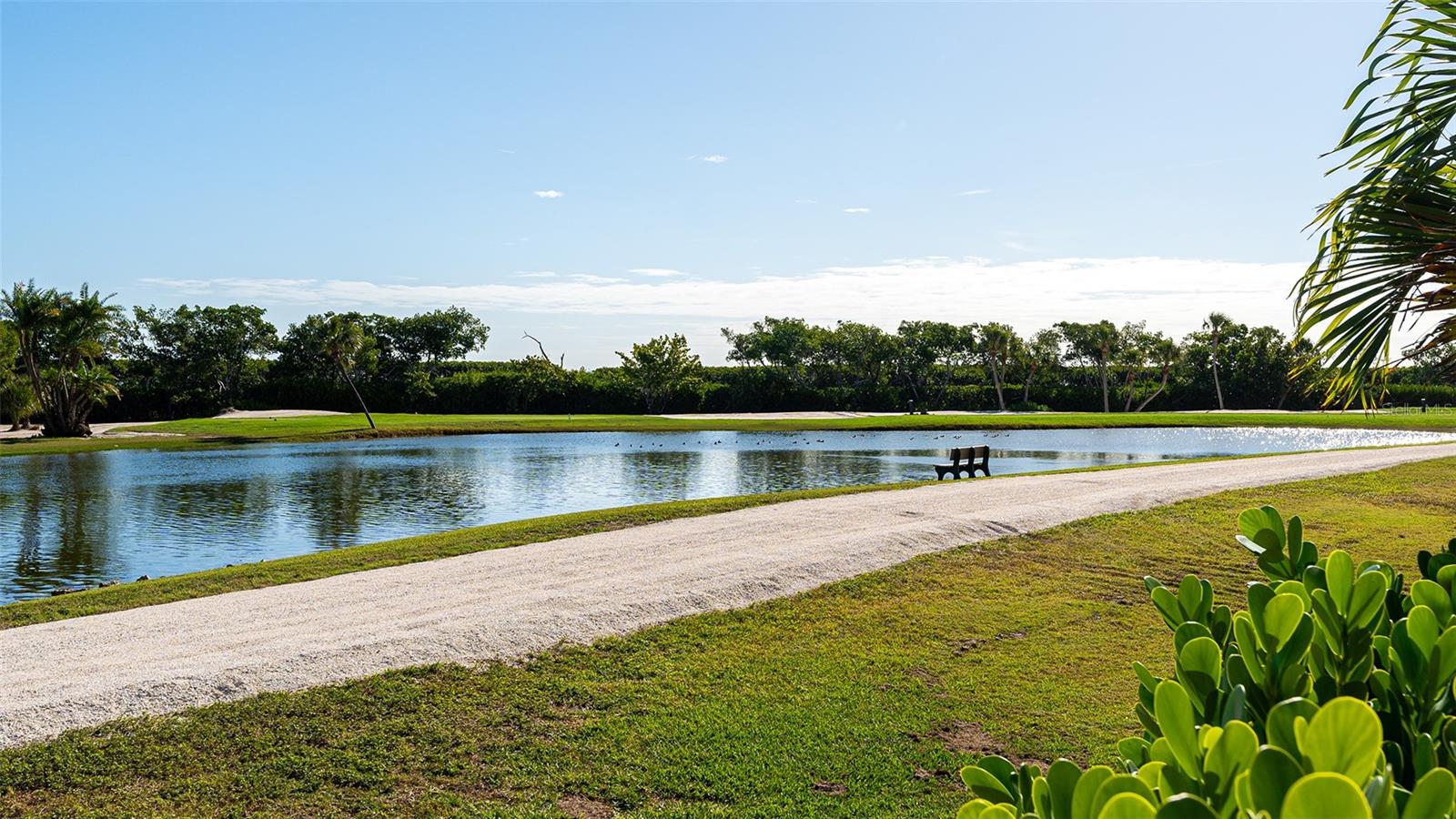 GRAND BAY 1 - Residential Lease