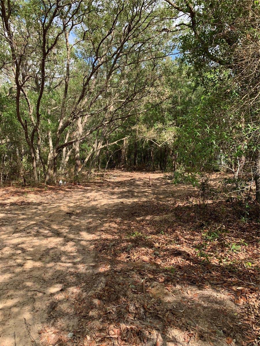 Photo of 132 SW 52nd Avenue, Interlachen, FL 32148 (MLS # FC319596)