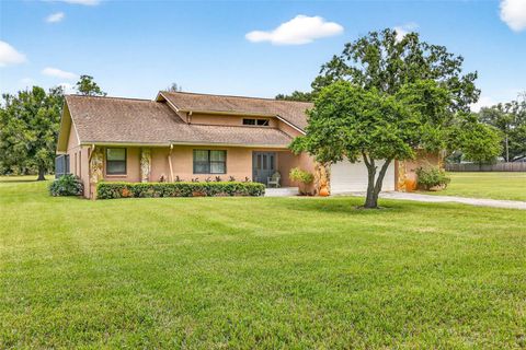 Photo of 8410 W Knights Griffin Road, Plant City, FL 33565 (MLS # TB8427996)