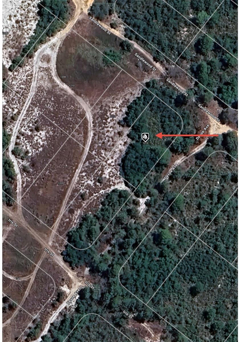 Corner lot on a dirt road. Zoning: R1. Quiet rural area with lots of wildlife. Located close to the 26 762 acres Lake Istokpoga public boat ramp. Nice and quiet Highlands park neighborhood, just a short drive to lake Clay. LISTING AGENT IS A MEMBER OF THE SELLING LLC.