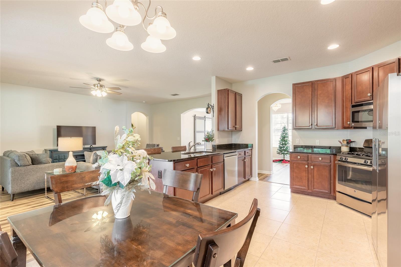 517 ELKHORN FERN LANE