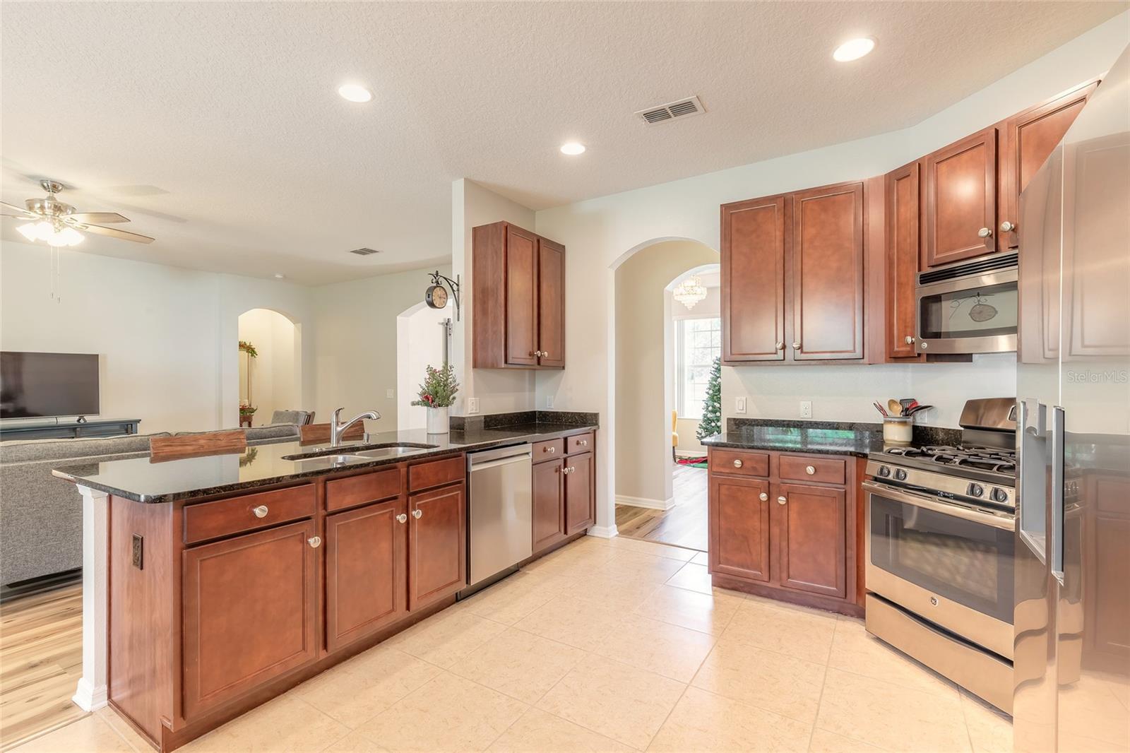 517 ELKHORN FERN LANE