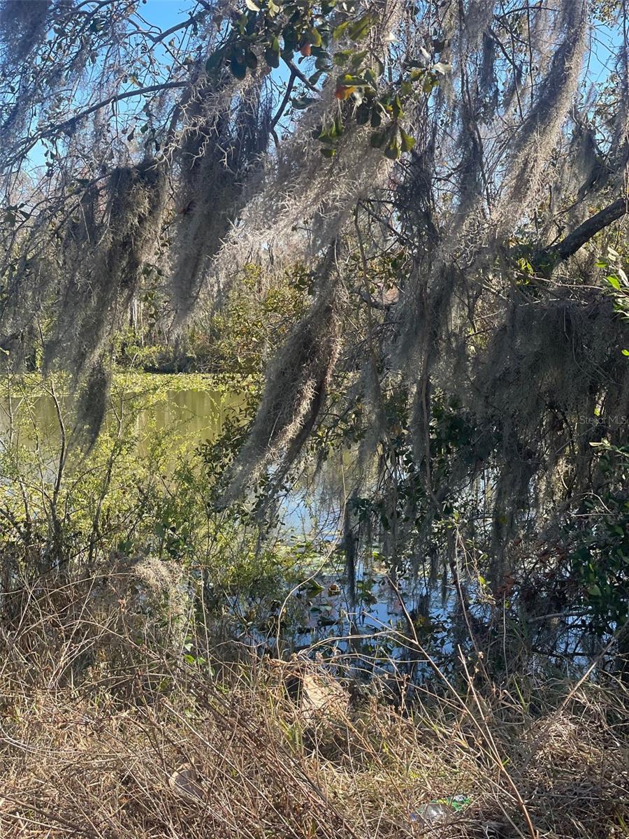 SEMINOLE LAKE ESTATES - Land