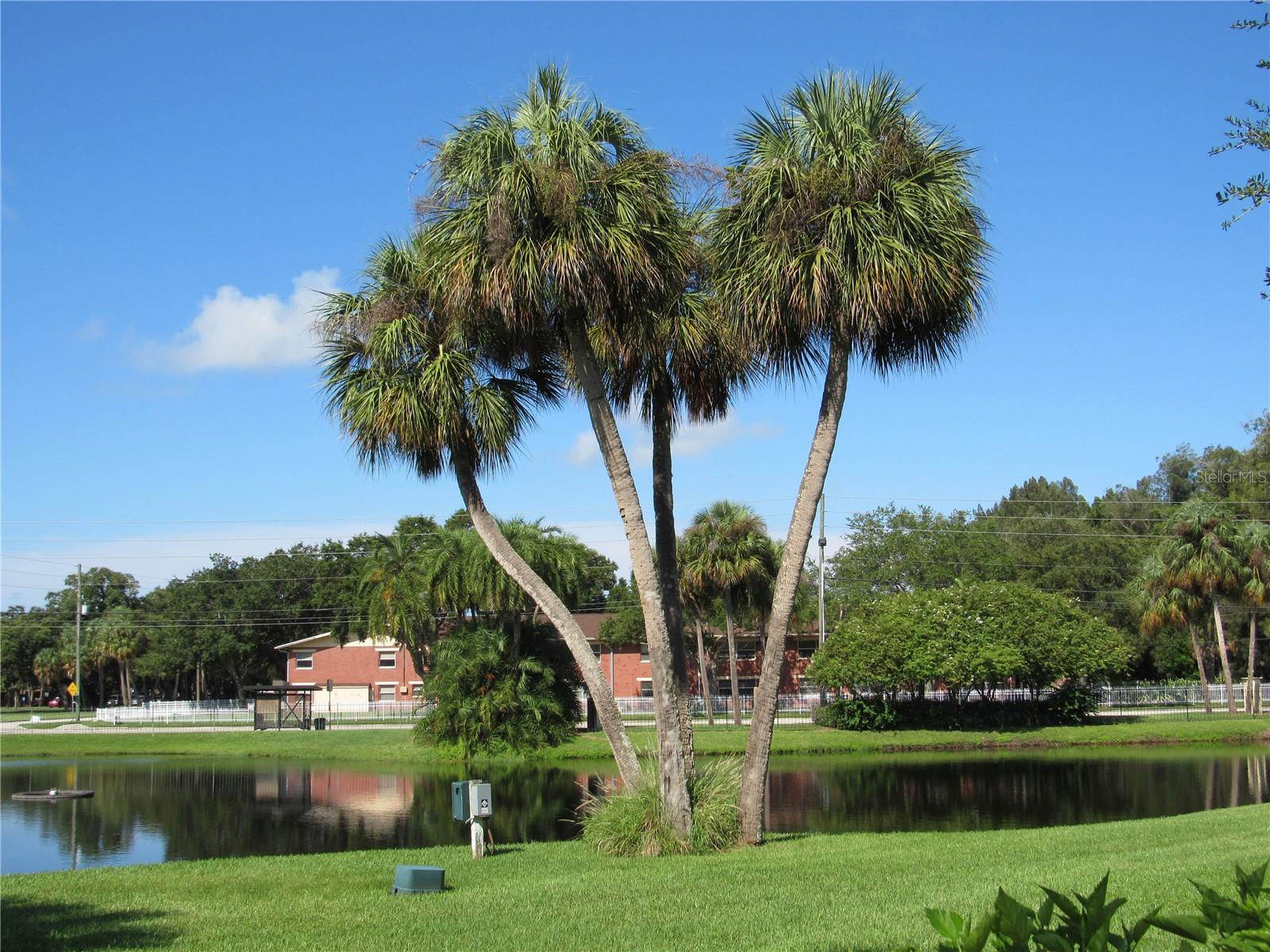 ARBOR GROVE CONDO - Residential