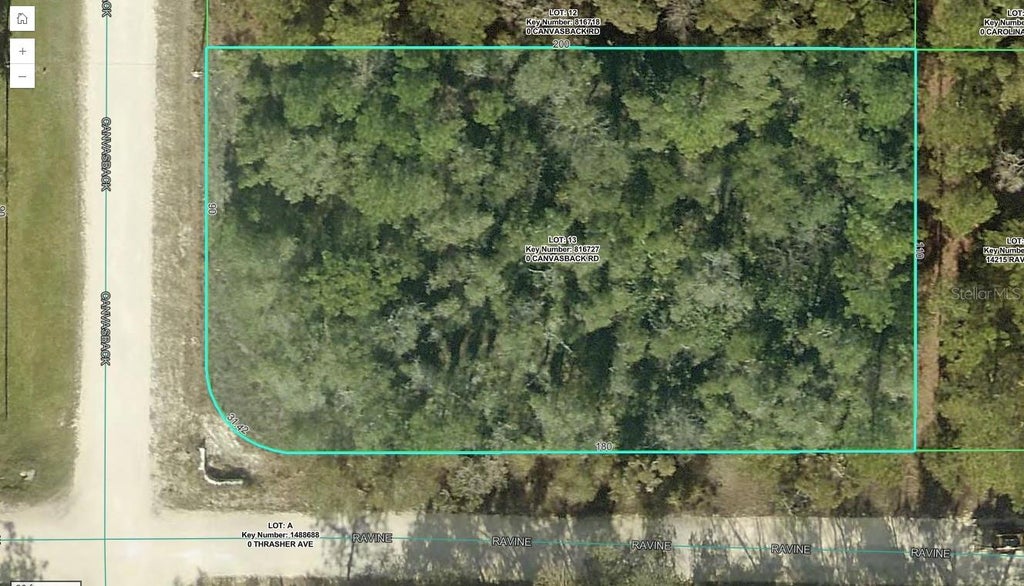 Photo of 15026 Canvasback Road, Weeki Wachee, FL 34614 (MLS # TB8558914)