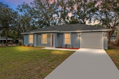 Photo of 13383 SW 106th Street, Dunnellon, FL 34432 (MLS # OM708838)