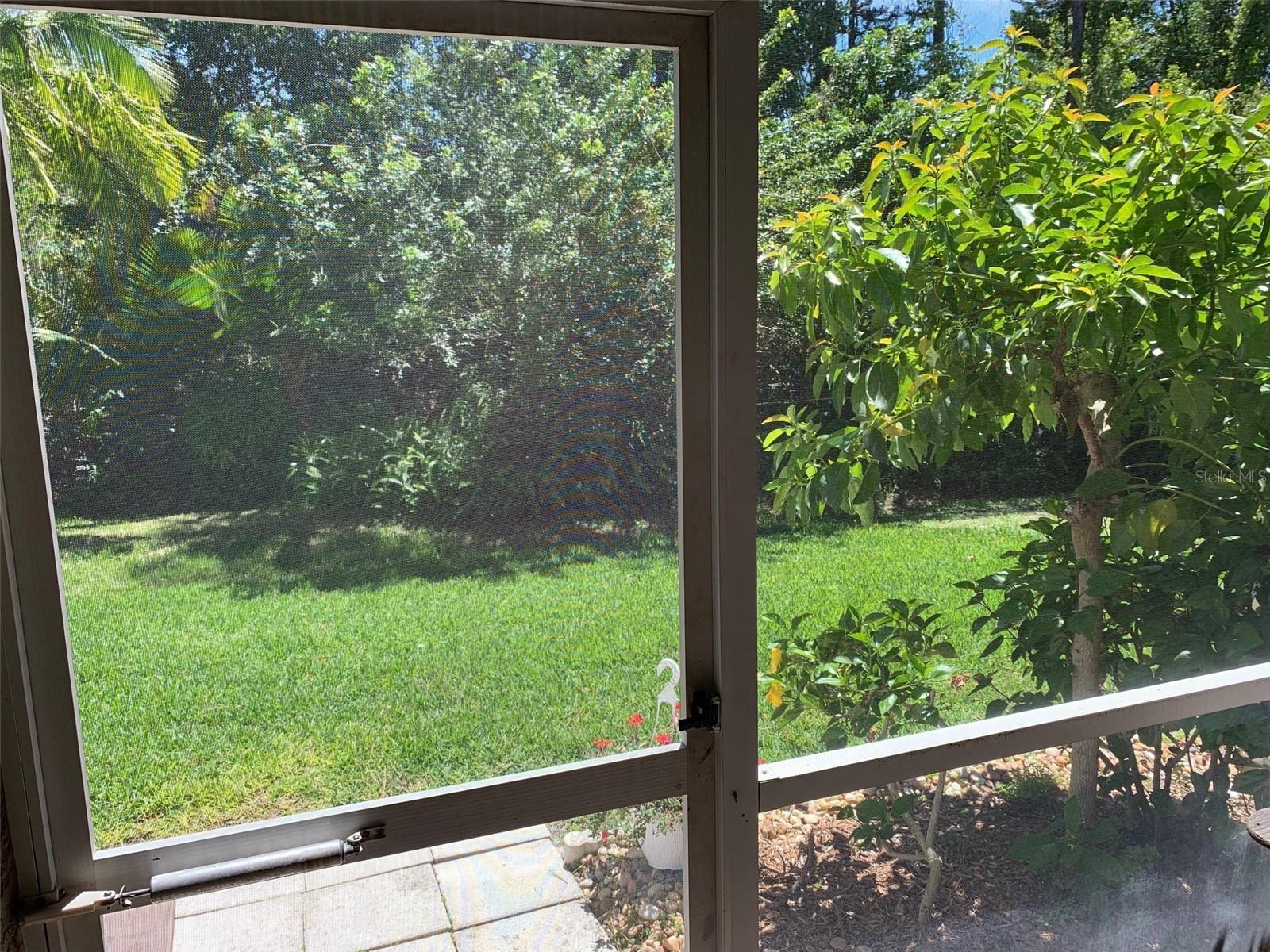 WINDSOR PLACE AT CITRUS PARK P - Residential Lease