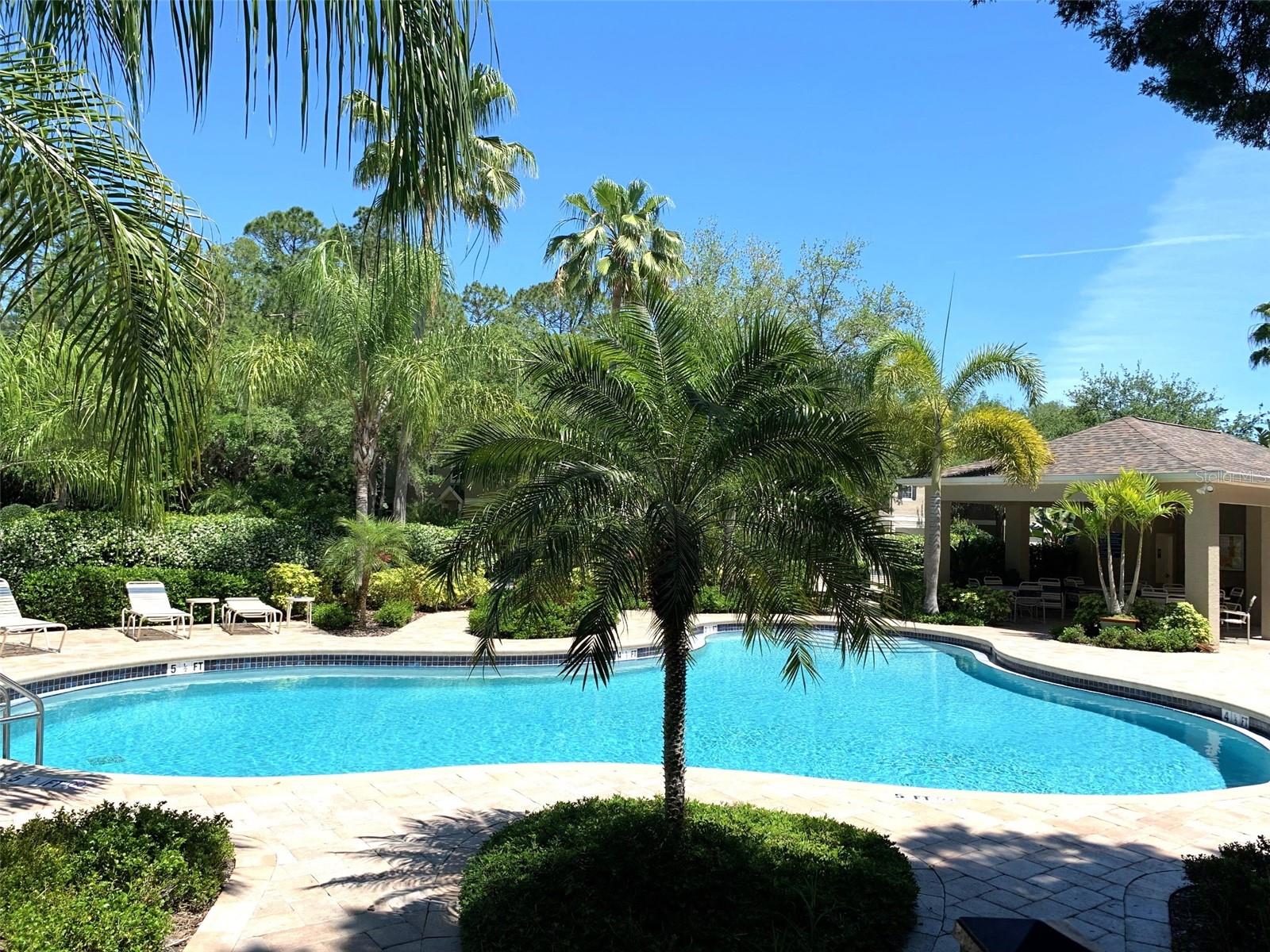 WINDSOR PLACE AT CITRUS PARK P - Residential Lease