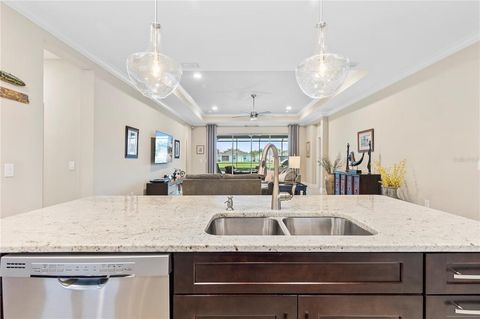 A home in RIVERVIEW