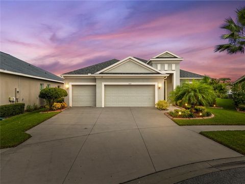 A home in RIVERVIEW