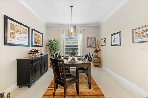 A home in RIVERVIEW
