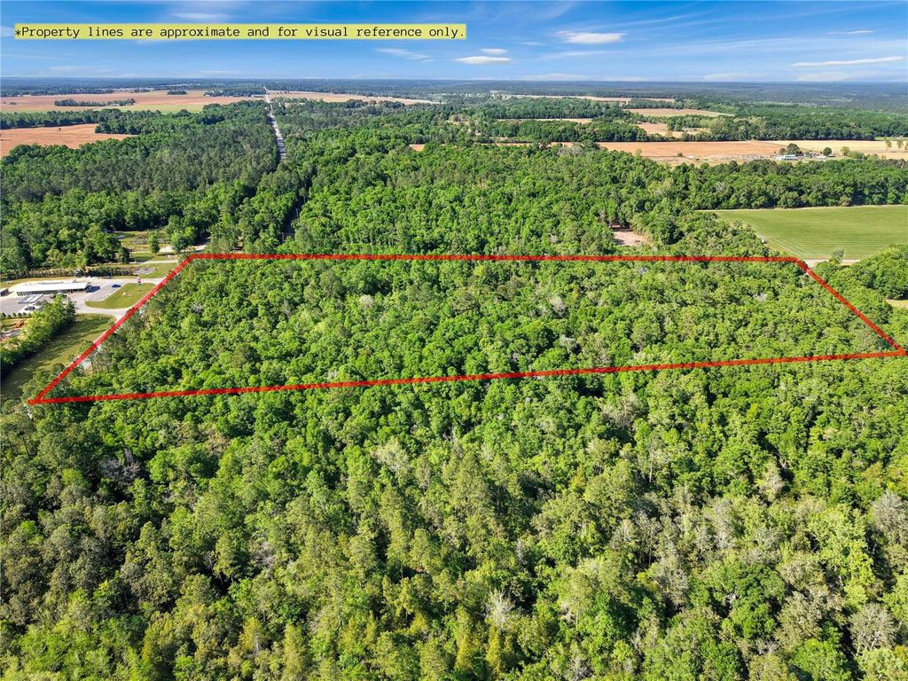 Photo of Neal Kennington/Hwy 87 N, Milton, FL 32570 (MLS # TB8501298)