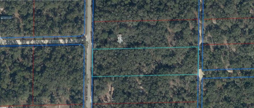 A VACANT LOT IN BRUNSON IN LEVY COUNTY!!!