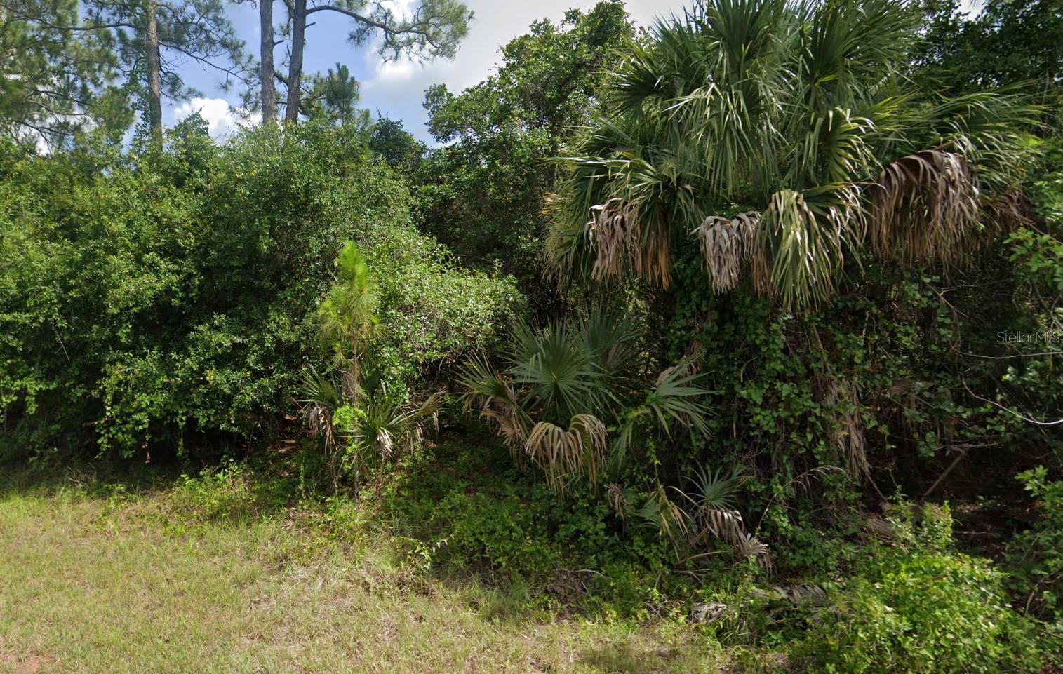 PORT CHARLOTTE SUB 44 - Land