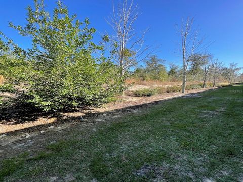 Tiny photo for 6579 SW 81st Loop, Ocala, FL 34476 (MLS # OM715600)