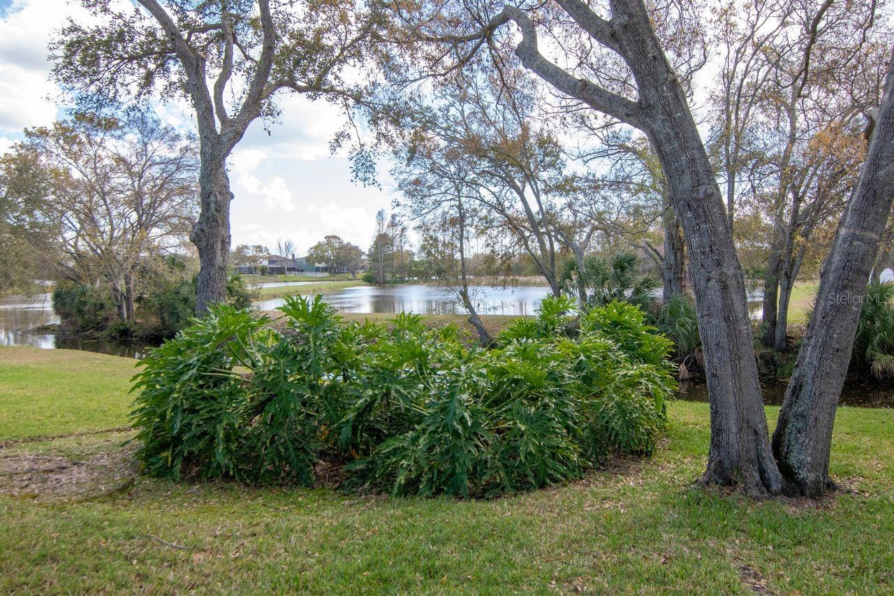 EASTLAKE OAKS PH 1 - Residential