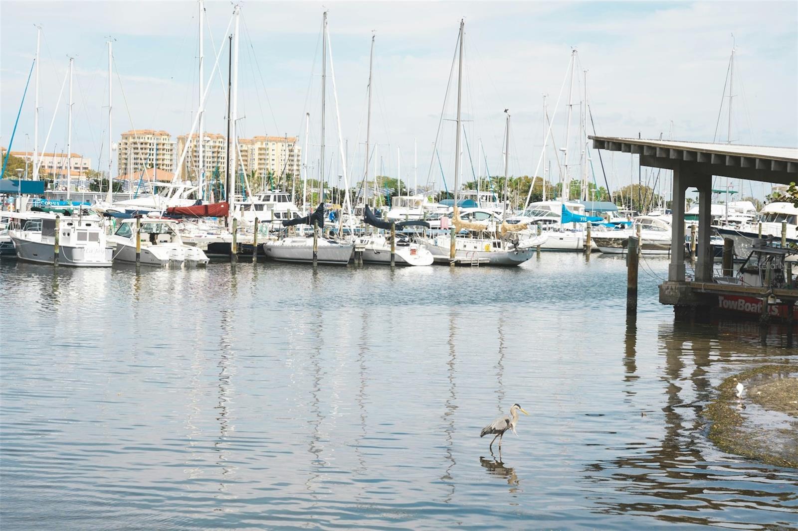 TOWN APTS CONDO - Residential