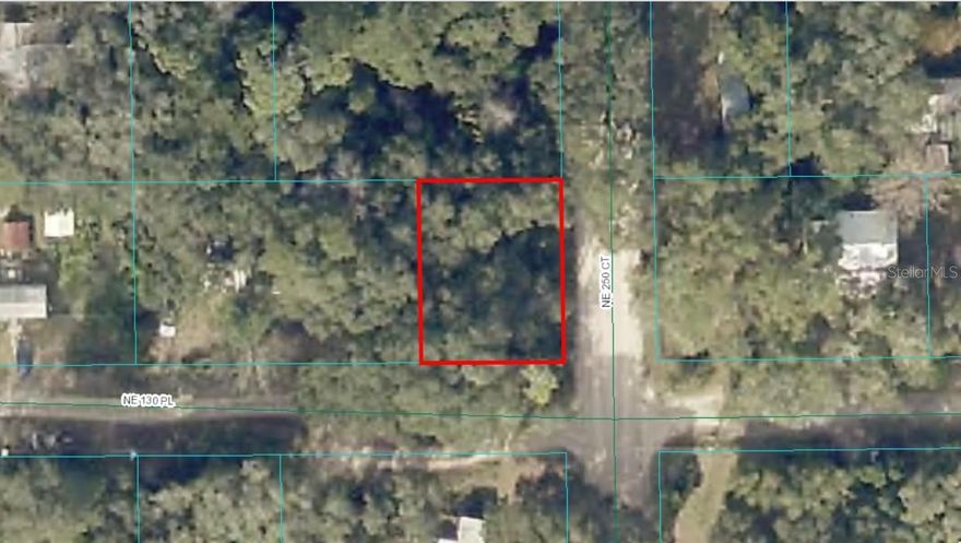 Corner Lot in Kershores - site built homes or mobiles permitted. Has a previous well and septic (condition not guaranteed with the sale). Kershores Club Membership is optional and approximately $100 year giving access to Little Lake Kerr and the amenities that include dock, beach/swimming area, boat ramp, BBQ/picnic area, community center that can be rented for events, playground and more. In the heart of the Ocala National Forest, you will find public boat ramps, crystal clear springs, trails, hunting, fishing and camping.