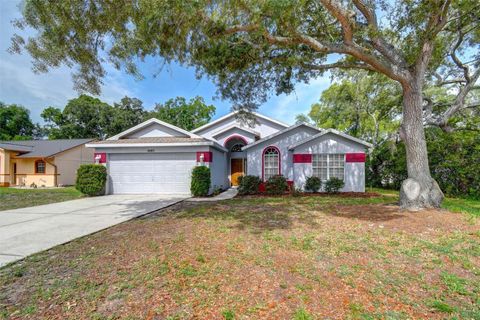 Property photo of 5085 Plumosa Street, Spring Hill, FL 34607