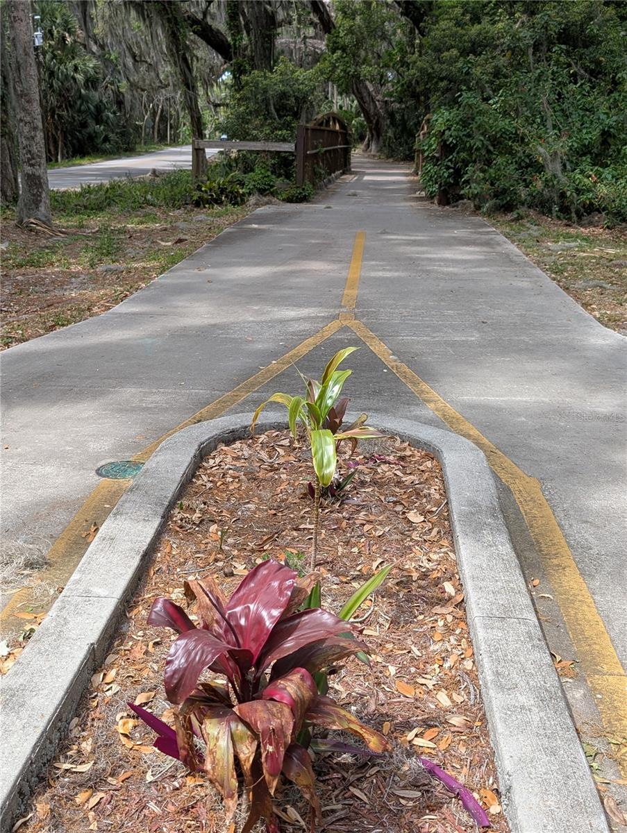 EDGEWATER CONDO APTS - Residential